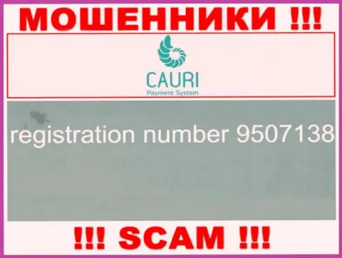 Номер регистрации, который принадлежит жульнической организации Каури Ком: 9507138