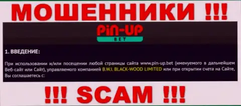 Юридическое лицо компании Pin-Up Bet - это Б.В.И. БЛЕК-ВУД ЛТД, информация позаимствована с официального сервиса