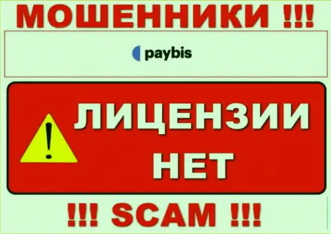 Информации о лицензионном документе PayBis Com у них на официальном сайте не показано - это РАЗВОДНЯК !