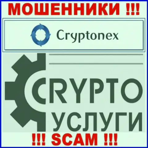 Связавшись с CryptoNex, область работы которых Крипто услуги, рискуете остаться без своих денежных активов