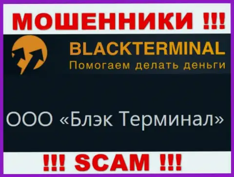 На официальном сайте BlackTerminal сообщается, что юридическое лицо организации - ООО Блэк Терминал