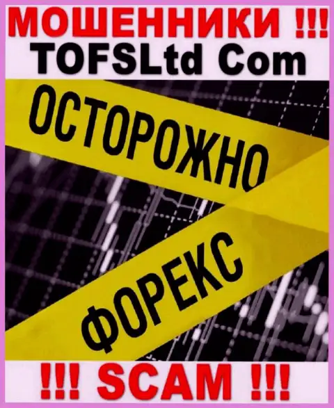 Будьте очень внимательны, вид деятельности TOFSLtd Com, FOREX - это лохотрон !!!