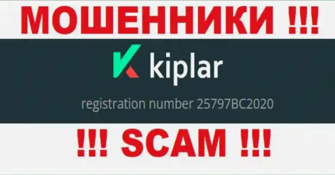 Номер регистрации организации Kiplar, в которую кровно нажитые советуем не перечислять: 25797BC2020