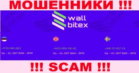 МОШЕННИКИ из WallBitex вышли на поиски потенциальных клиентов - звонят с нескольких телефонных номеров